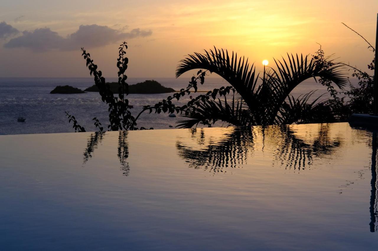 Sunset Palm - Villa Creole Avec Piscine Face Au Coucher De Soleil Et A La Reserve Cousteau Bouillante Exterior foto